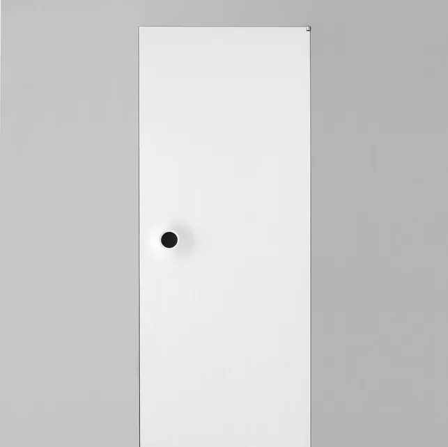 Porta per interni Ring Filomuro in laccato Bianco di Albed